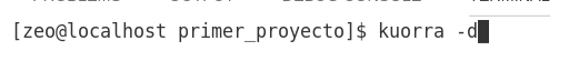 Imagen 17: Ejecución usando el comando kuorra -d